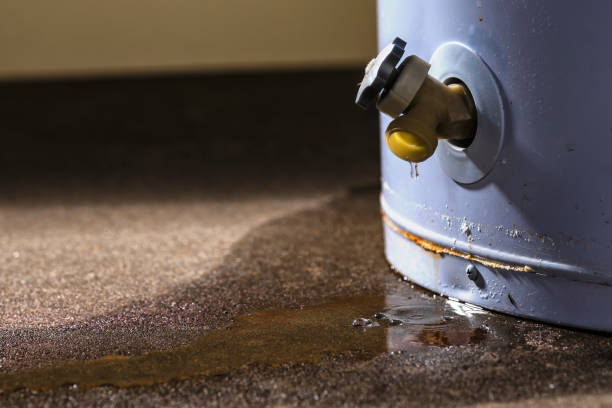 Best Basement water damage restoration  in Waldron, AR