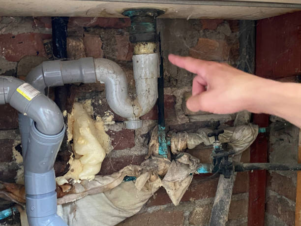 Best Water damage restoration experts  in Waldron, AR