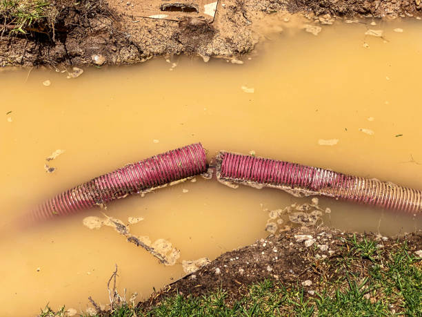 Best Water damage restoration near me  in Waldron, AR